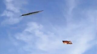 Vacca bionda in attesa di uomini