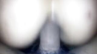 Bella inculata profonda