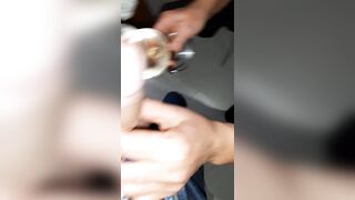 Pompino al vino bianco