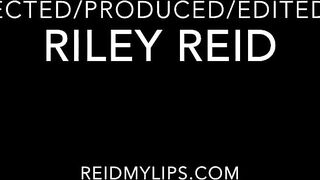 Puttana insaziabile all'opera su un cazzo