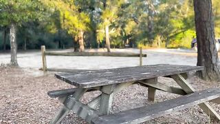 POMPINO ALL'ARIA APERTA