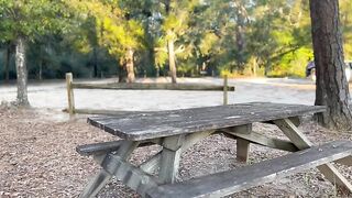 POMPINO ALL'ARIA APERTA