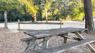 POMPINO ALL'ARIA APERTA