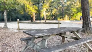 POMPINO ALL'ARIA APERTA