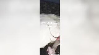 Zoccola di Milano succhia e viene inculata