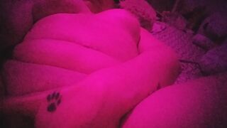 Bionda sexy si sditalina