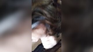 Mi piace fare i pompini