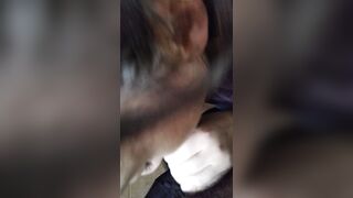 Mi piace fare i pompini