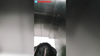 Troia sicula glielo suka in ascensore