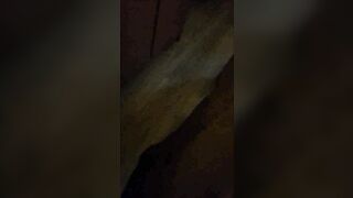 Torno a casa col suo sapore in bocca