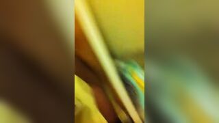 Maschio a pecorina a Firenze