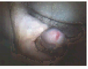 Una sega al giorno...