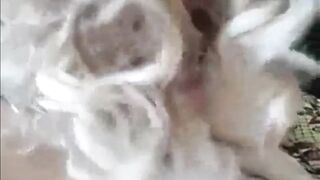 Con la tutina retata per due bei maschioni...