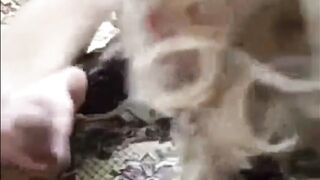 Con la tutina retata per due bei maschioni...