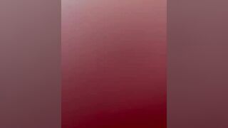 Troia calda di Genova