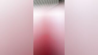 Troia calda di Genova