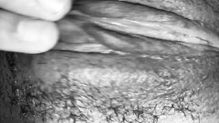 Figa bagnata vista da vicino