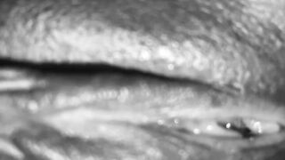 Figa bagnata vista da vicino