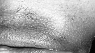 Figa bagnata vista da vicino