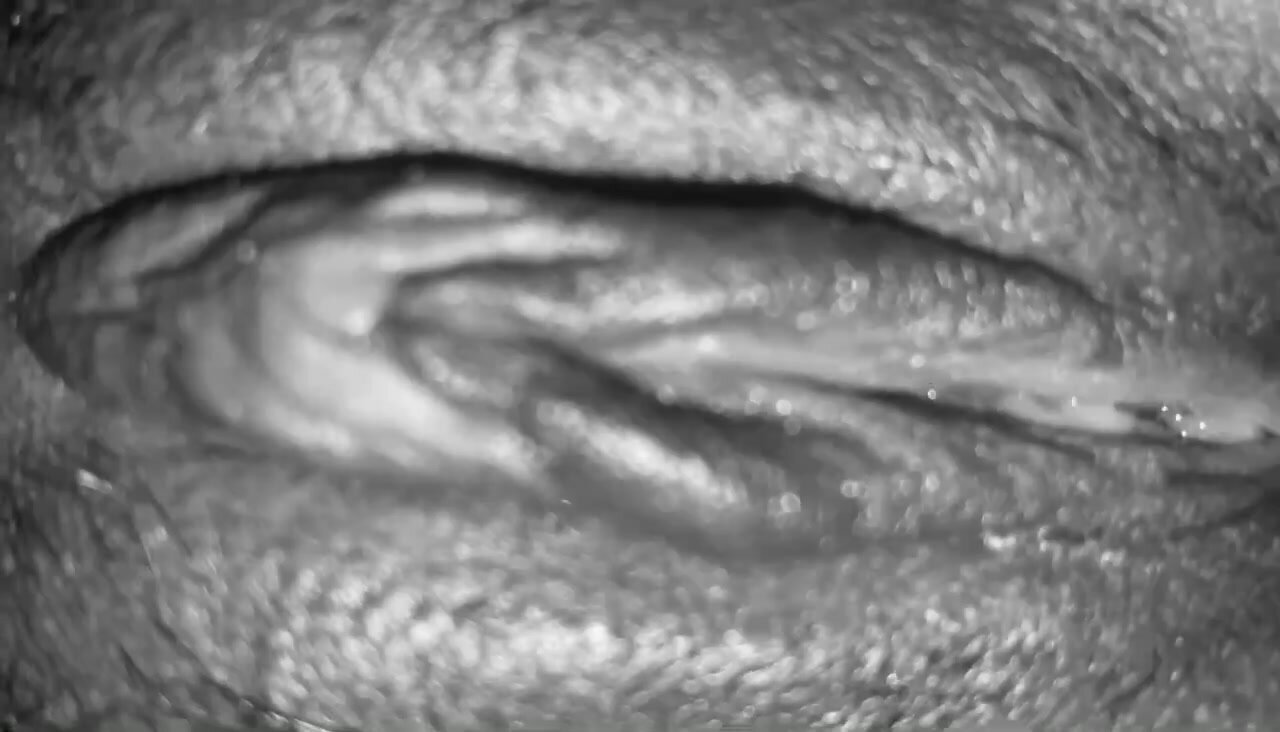 Figa bagnata vista da vicino