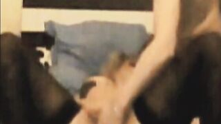 Virginia inculata per la prima volta