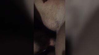 Tra uomini a Firenze solo per gioco