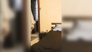 Virginie, la buona troia