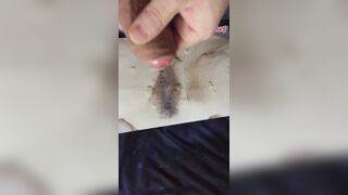 Tributo per sempredritto