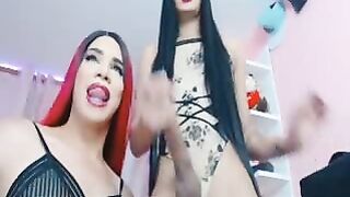 Trans arrapata spompina amica trans