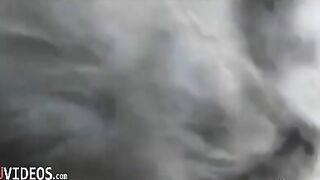 La puttanella albanese ha caldo