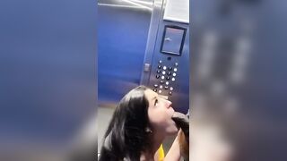 La mia ragazza me lo succhia in ascensore