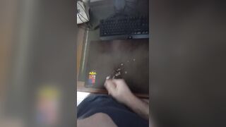 tributo signora salerno 2