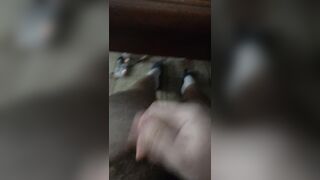 Tributo signora Salerno 3