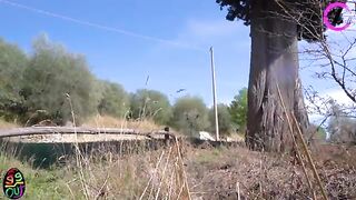 Le due sorelle porcelline