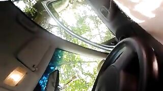 Nicoletta la troietta