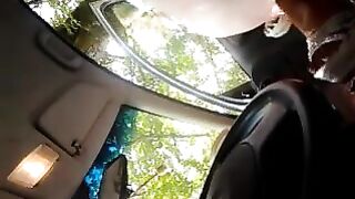 Nicoletta la troietta