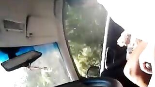 Nicoletta la troietta