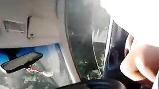 Nicoletta la troietta