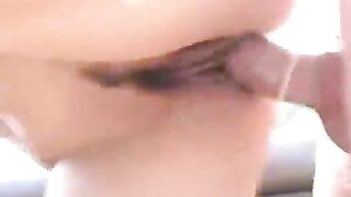 Bella brasiliana inculata