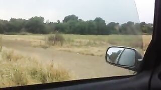 Bella puttanella italiana succhia e beve in auto