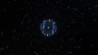 Bionda sudamericana inculata