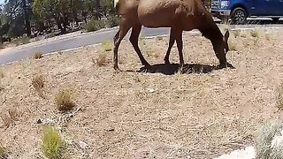 Porno amatoriale girato con Go Pro Hero Cam