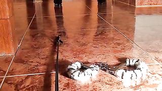 Anteprima del video: Scopata fetish con le manette