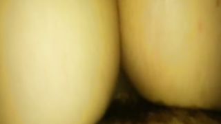 Video xxx moglie inculata