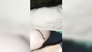 Titti la vacca gravida