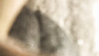 Titti la vacca gravida