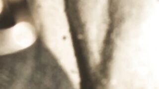 Titti la vacca gravida