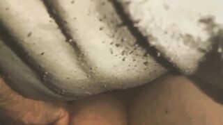 Titti la vacca gravida