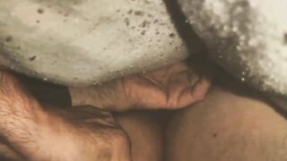 Titti la vacca gravida