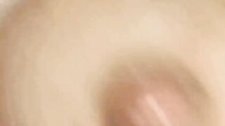 Titti la vacca gravida